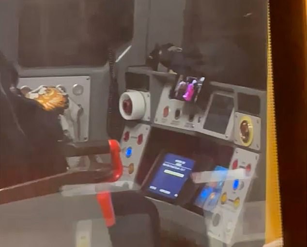 Striking footage shows the London Underground operative hard at work on a lion-themed garment as he pulls slowly out of Hendon Central Station in February 2025