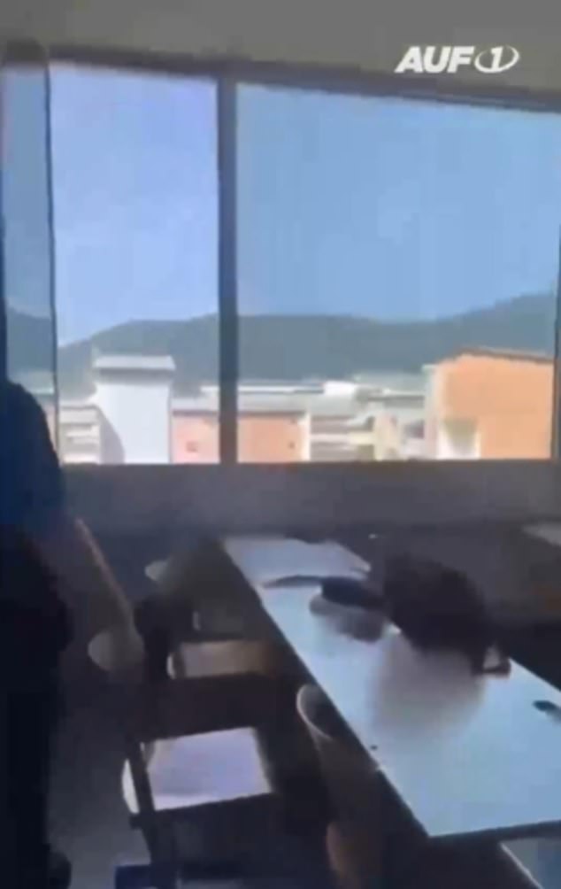 A chilling video circulating online shows the moment gunshots rang out around the BORG Dreierschuetzengasse high school