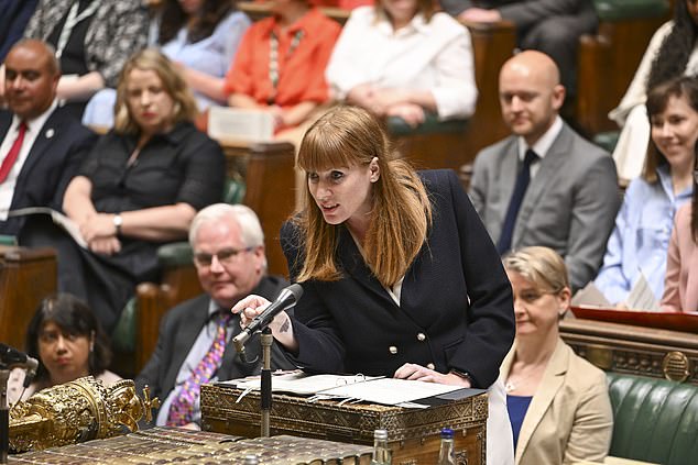 Here was a reduced-sodium, semi-skimmed, low-cal Rayner, keen to look composed. Her voice sounded as if it had fluff on the stylus, writes Quentin Letts