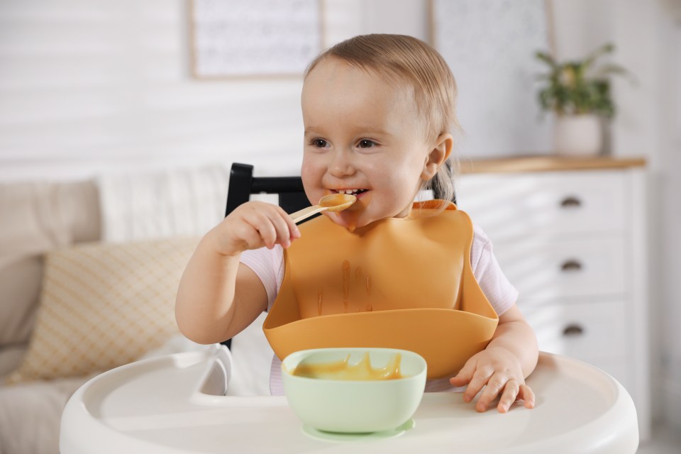 Baby wearing a bib eating baby food.