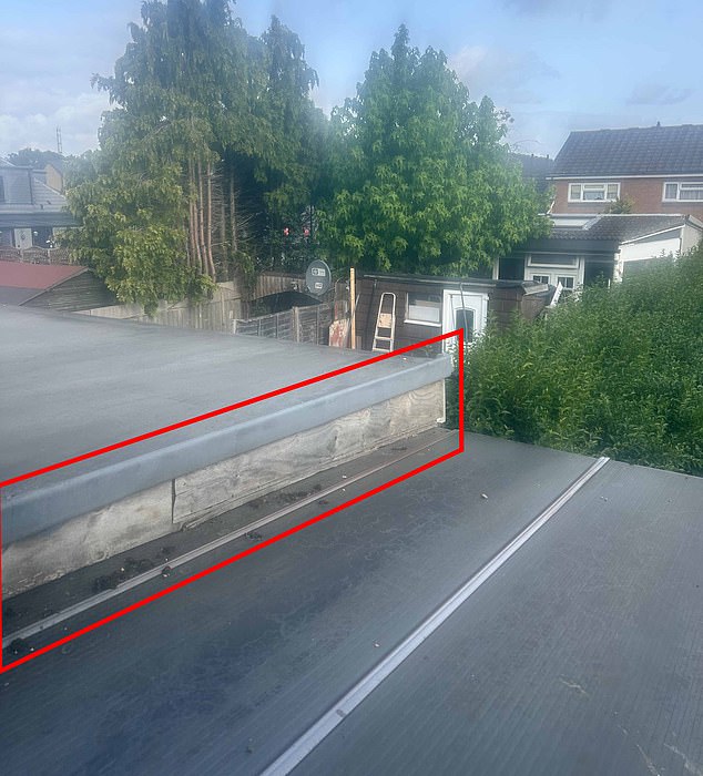 Circled: The new extension wall which Ms Grant claims goes over onto her property and required part of her plastic roof to be cut