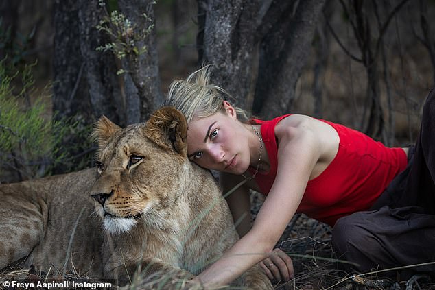 A nepo baby looked the spitting image of her 90s TV star mother as she cuddled a lion in Africa