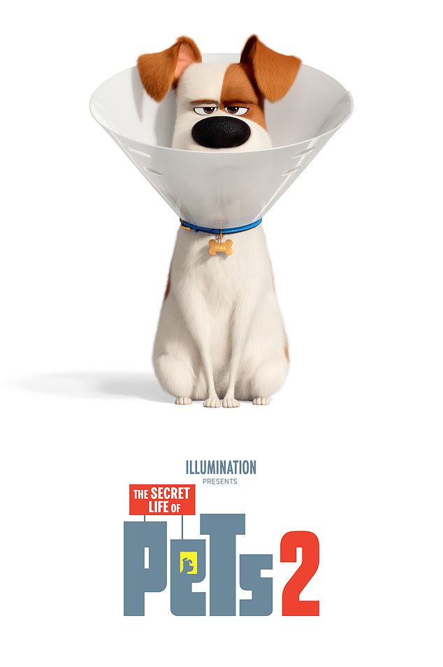 The Secret Life of Pets 2 (2019) is also going to be taken off Netflix next month - as well as the first film