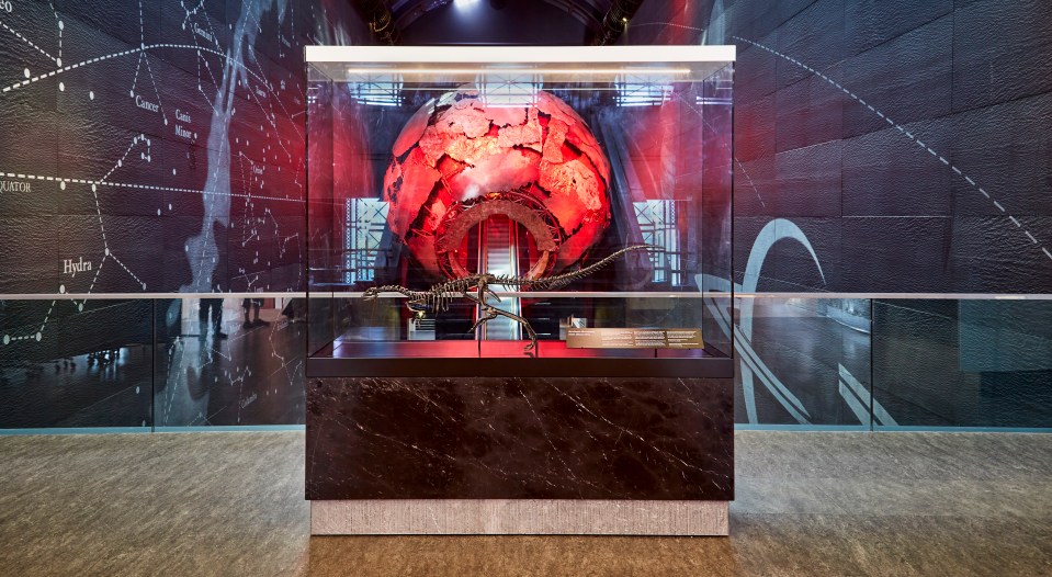 Dinosaur skeleton and illuminated globe in museum display case.