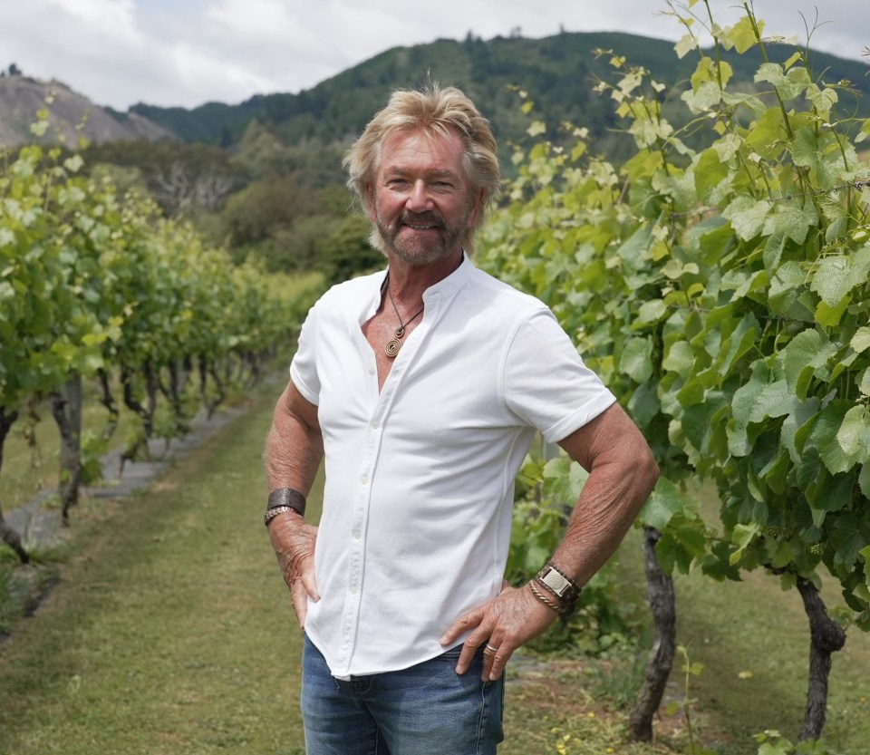 Noel Edmonds standing in a vineyard.