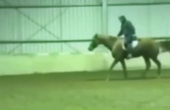 Person riding a horse in an indoor arena.