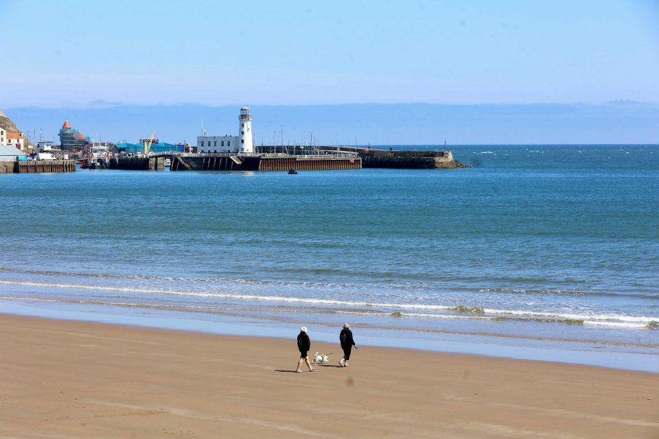 Couple walking dog on Scarborough beach with lighthouse in background.