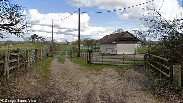 Pictured is what the pony field in the New Forest looked like before it was redeveloped without permission