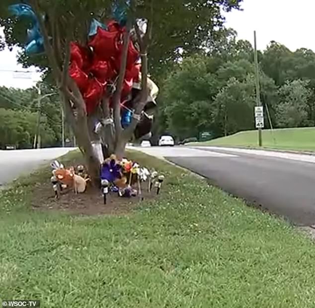 Legend had run out in front of an SUV on this road in Gastonia, North Carolina