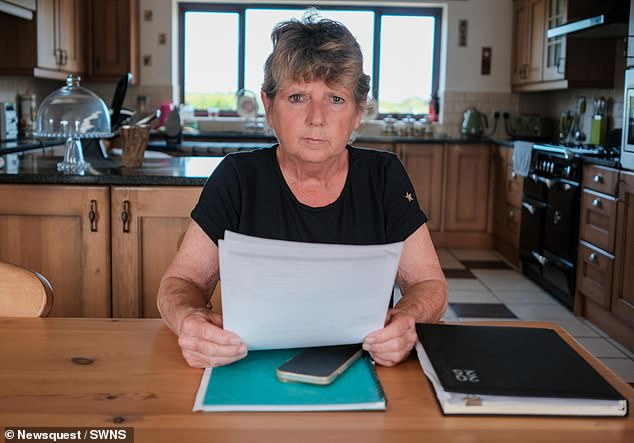 Lin Lawler, 70, has been hit with a whopping £24,010 electricity bill for a house that is hardly used thanks to an allegedly faulty meter