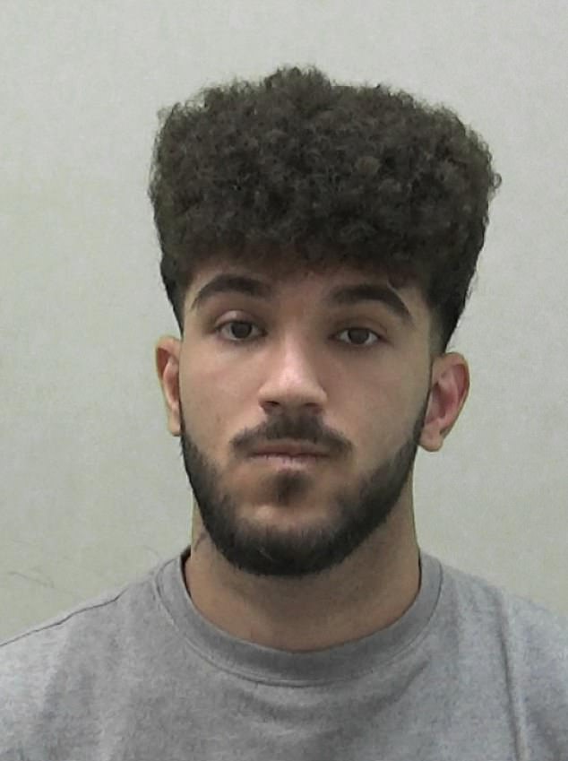 Mazyar Azarbonya, who put seven police officers in hospital following a 120mph crash while on the way home from a first date, has been jailed