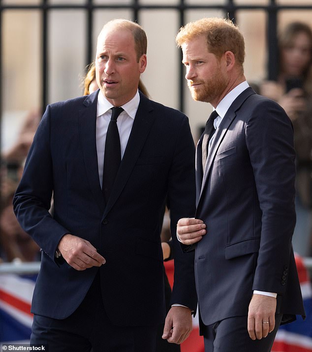 It would see Harry pictured with the Royal Family for the first time since the late Queen¿s funeral. Pictured: William and Harry at Windsor Castle in September 2022