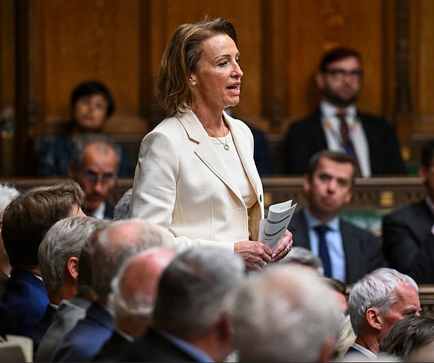 Mr Yusuf's shock departure came just hours after he hit out at Sarah Pochin, one of Reform's MPs, for a 'dumb' question in the House of Commons about banning the burqa