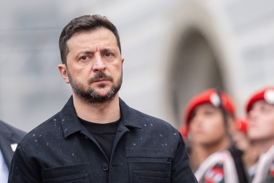 Volodymyr Zelensky in Vienna.