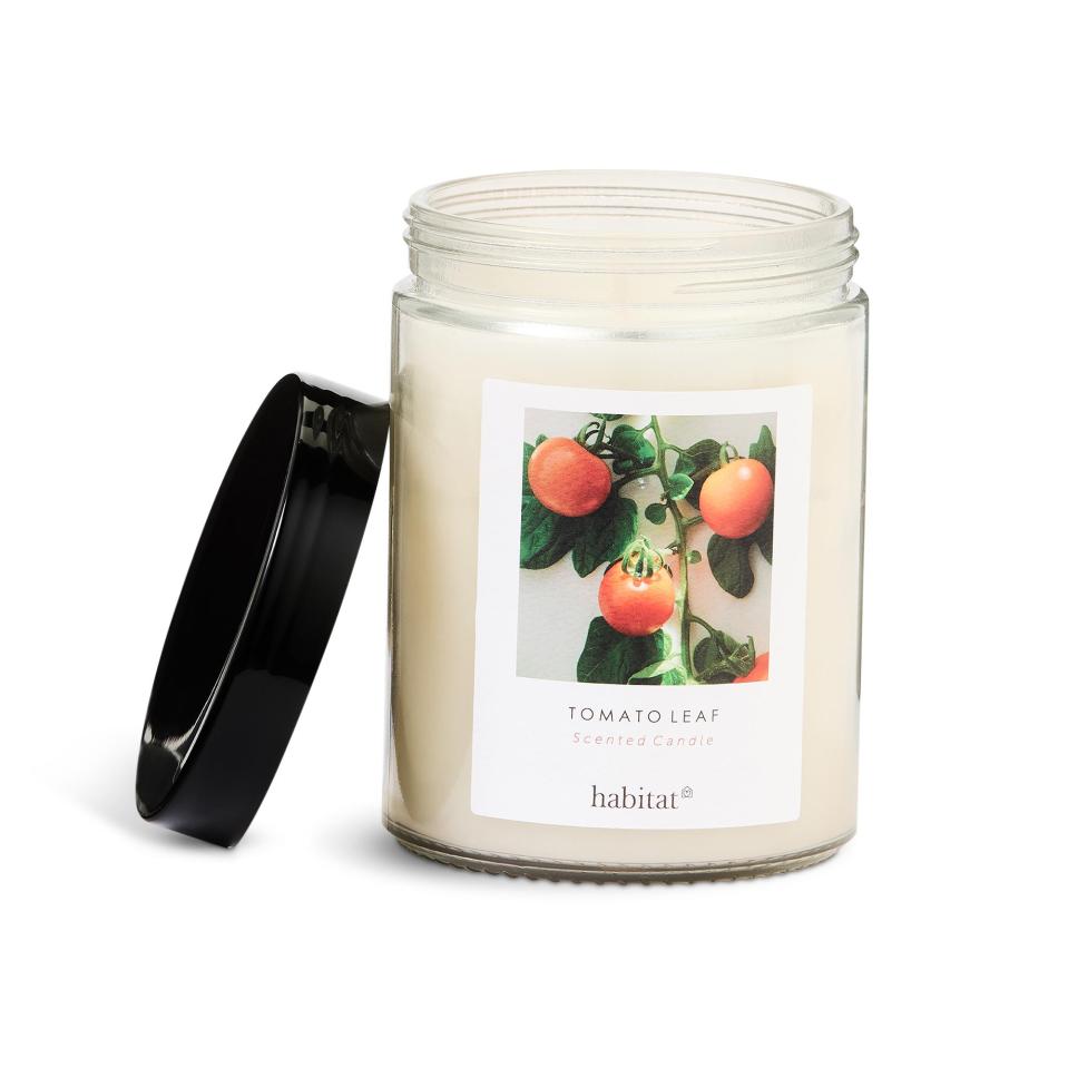 Habitat Tomato Leaf scented candle in a glass jar.