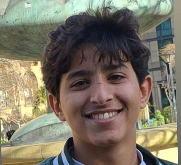 Abdullah Yaha Al-Zaidy was walking along the pavement on Staniforth Road on Wednesday afternoon when a grey Audi appeared to swerve towards a group of e-bike riders before ploughing into the boy