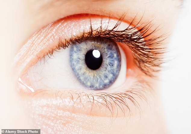 Scientists in South Korea have claimed that characteristics of the back of your eye could point towards Attention Deficit Hyperactivity Disorder (ADHD), a neurodevelopmental disorder that affects concentration, impulse control and activity levels