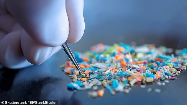 Scientists, who compared levels of tiny pieces of plastic in water across different parts of the US, found the areas with the highest levels had increased rates of stroke, heart attack and diabetes