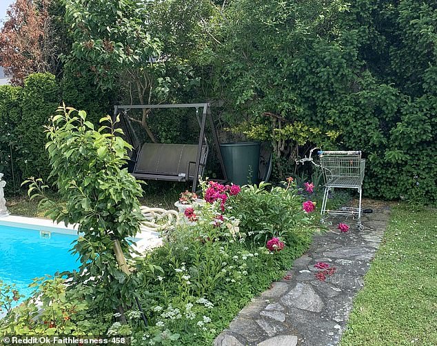An unsuspecting photo of a flower-filled backyard features a white cat hiding in plain sight - and only keen observers can spot the feline within 30 seconds