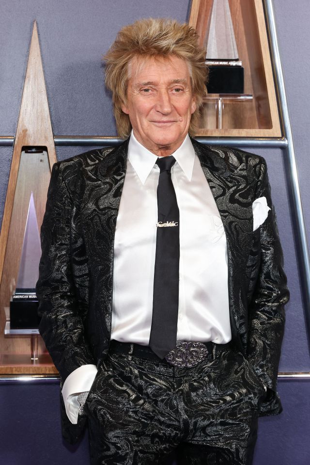 Rod Stewart at the American Music Awards.