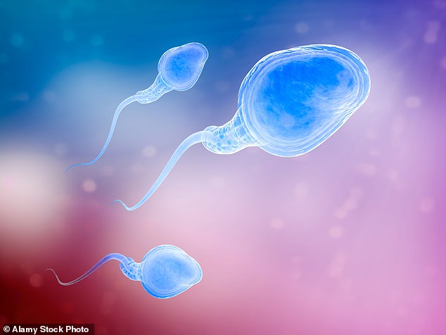 IVF involving men over the age of 45 is linked to increased miscarriage risks, a study has revealed