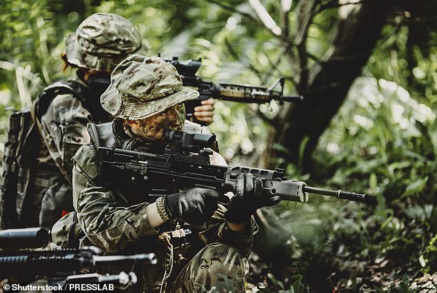 The Mail today launches a major campaign with ex-Special Forces commanders and senior MPs to protect the soldiers who bravely defended this country (file image)
