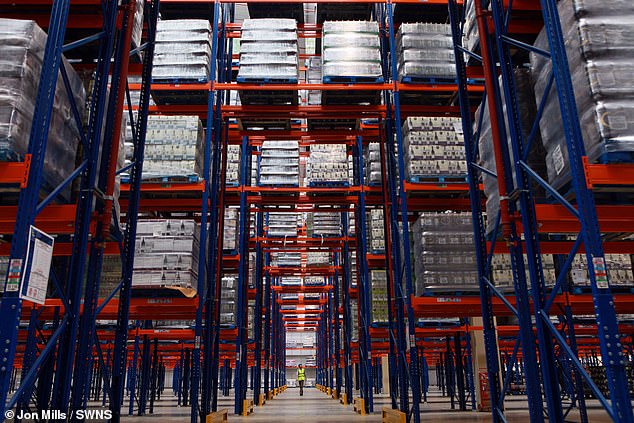 More than 200 workers at the wine bottling facility in Avonmouth, Bristol, are planning to strike over pay and collective bargaining between June 19 and July 5