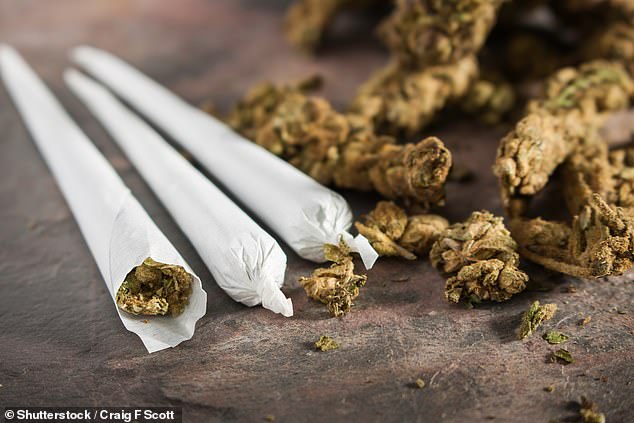 One in five teachers say their pupils use cannabis at school including some who are still primary-aged, a poll has found (pictured: file photo)