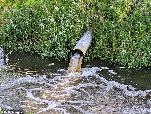 Thames Water is drowning under huge debts and the threat of further fines for pollution incidents (stock photo)