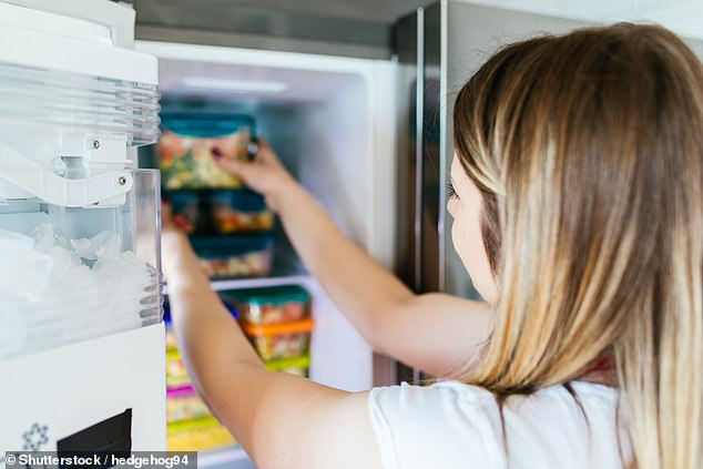 The combination of high temperatures and improper food handling can create an ideal environment for rapid bacteria growth, which poses a serious health risk, experts said (stock image)