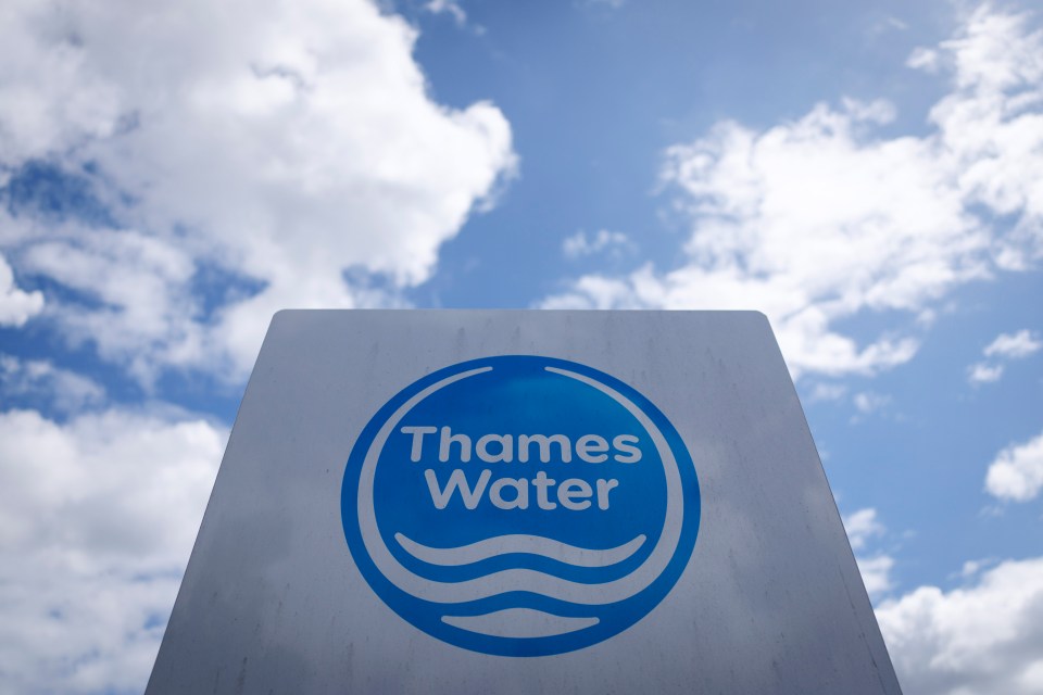 Thames Water logo on a sign against a cloudy sky.