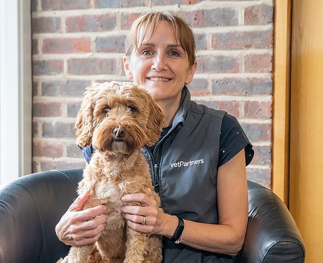 'Not financially motivated': Veterinarian Jo Malone has 800 locations nationwide