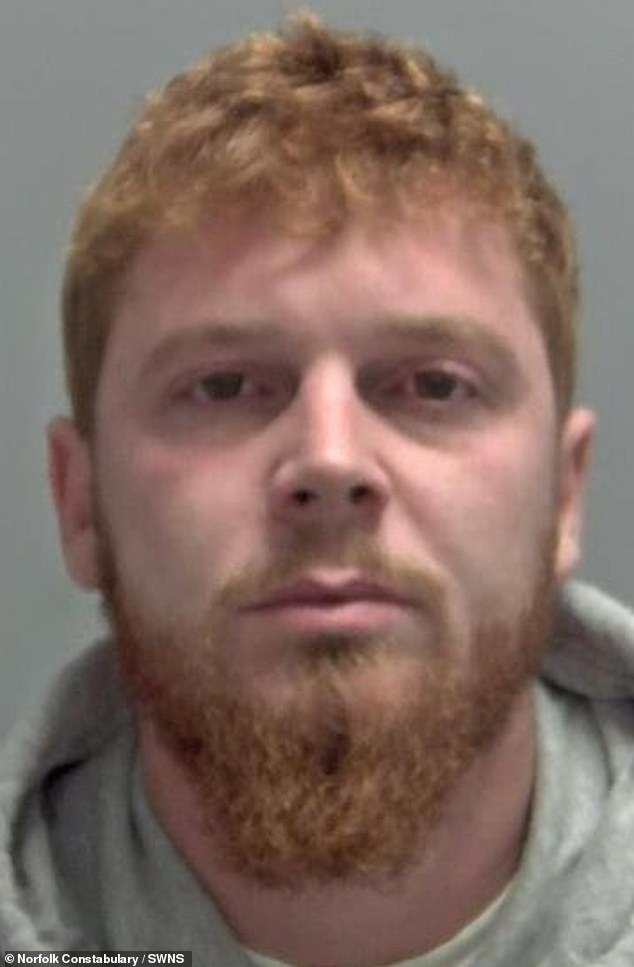 Benjamin Jones, 30, bit his partner's face, pulled her mouth apart and spat inside it before headbutting her in the face