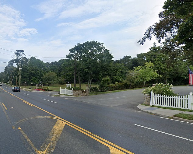 She was struck on a Hampton Bays road just before 3am Thursday by a driver who sped away from the crash