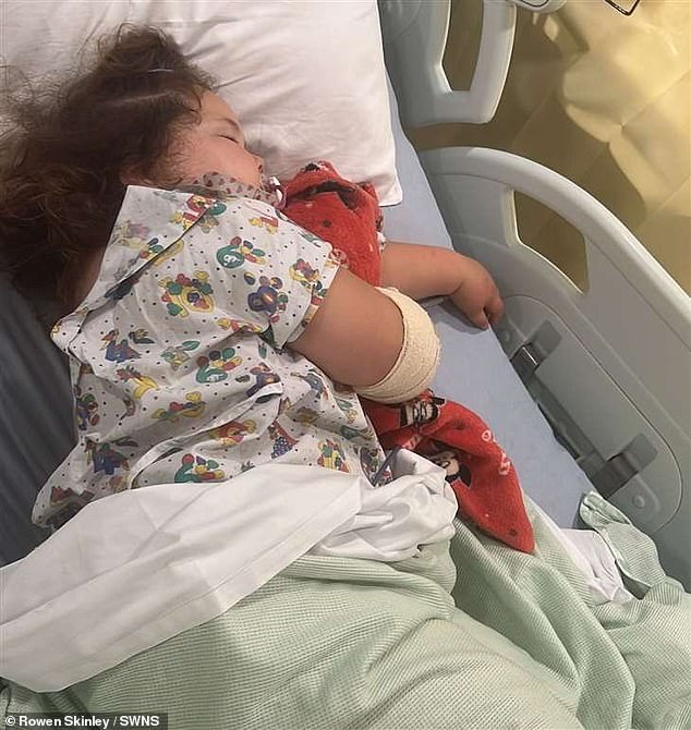 Bunnie (pictured in hospital), three, was walking home with her father and two siblings last Tuesday when the Cockapoo attacked her outside Miers Court Primary School in Rainham, Kent, at around 3.30pm