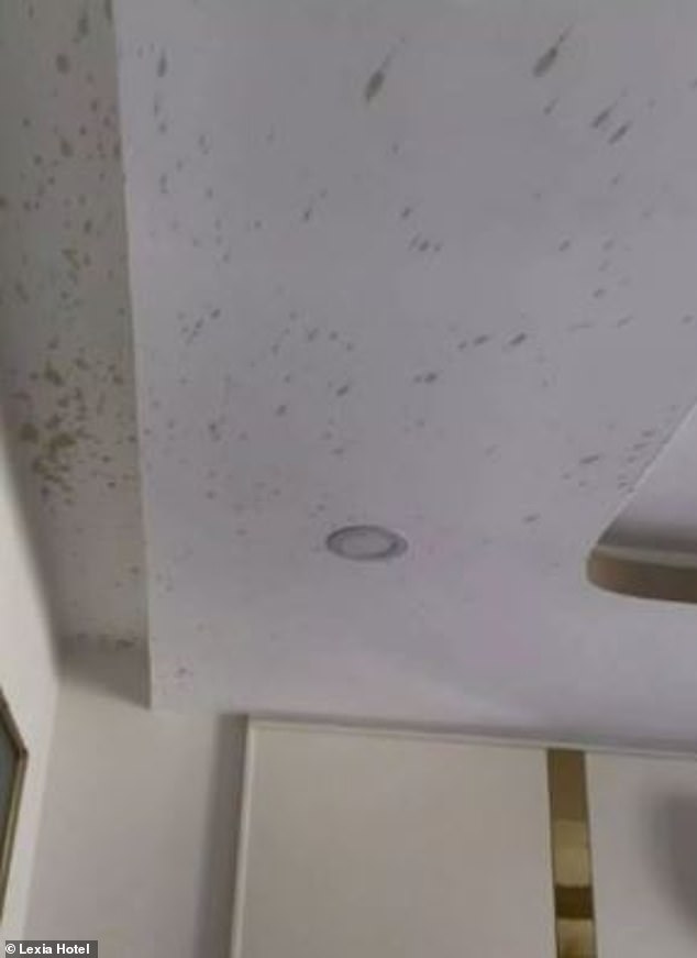 Splatter marks - which the hotel said were 'traces of various drinks and food on the ceiling and side walls' - were also visible and had to be repainted