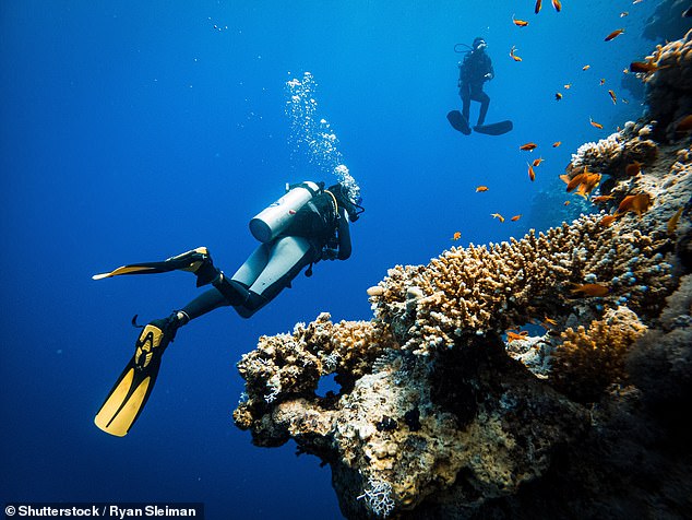 Unless you're highly experienced, stick to 10 metres in depth and your risk factor will plummet