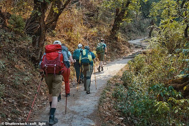 The dangers of strenuous walking are underestimated, with over 1,100 hiking-related incidents every year in Germany alone