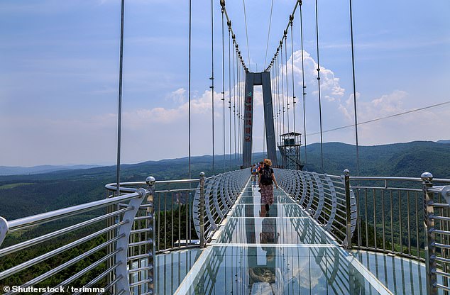 'You could live on a bridge, they're so safe', says the Feather insurance co-founder  even if the feeling of looking at the floor from high up can be stomach-flipping