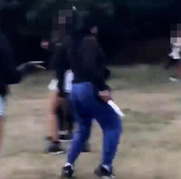 A man filming the shocking moment noted in disbelief when the knife was pulled out: 'She backed out a shank, are you mad?'