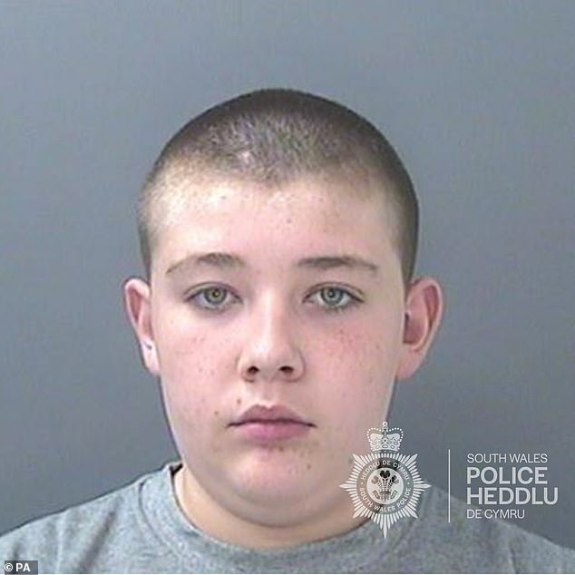Cole's step-son Craig Mulligan, 14 at the time of sentencing, was jailed for life with a minimum term of five years for murder