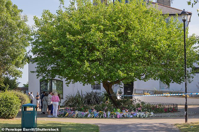 Dozens of people rushed to try to help lift the tree after it collapsed - and were commended for their courage by police and locals