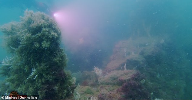 Over 20 dives, Donnellan and his team uncovered even more tantalizing clues, smaller walls toppled across the seabed, canals, cut channels and scattered stones he believes were 'flung' from their original construction site