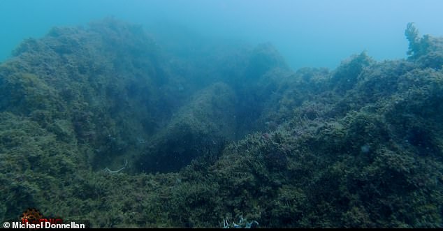 Between the walls sat intricately carved canals, and at the center was a rectangular ruin that, according to Donnellan, echoes Plato's description of Poseidon's temple, forming what he believes is the capital city of Atlantis
