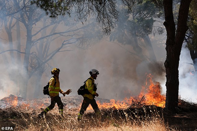 Pictured: Firefighters work on extinguishing a forest fire in Chiclana de la Frontera, Andalusia, Spain, July 1, 2025