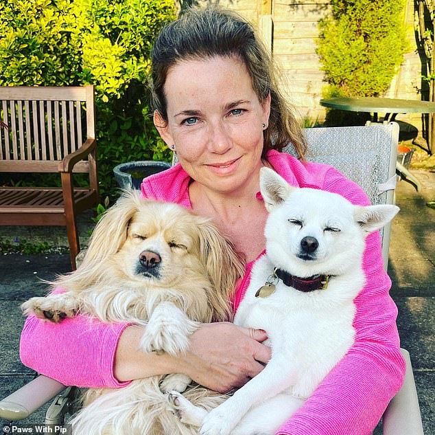 Pip says dogs should not be kept in cars at all during the hot weather