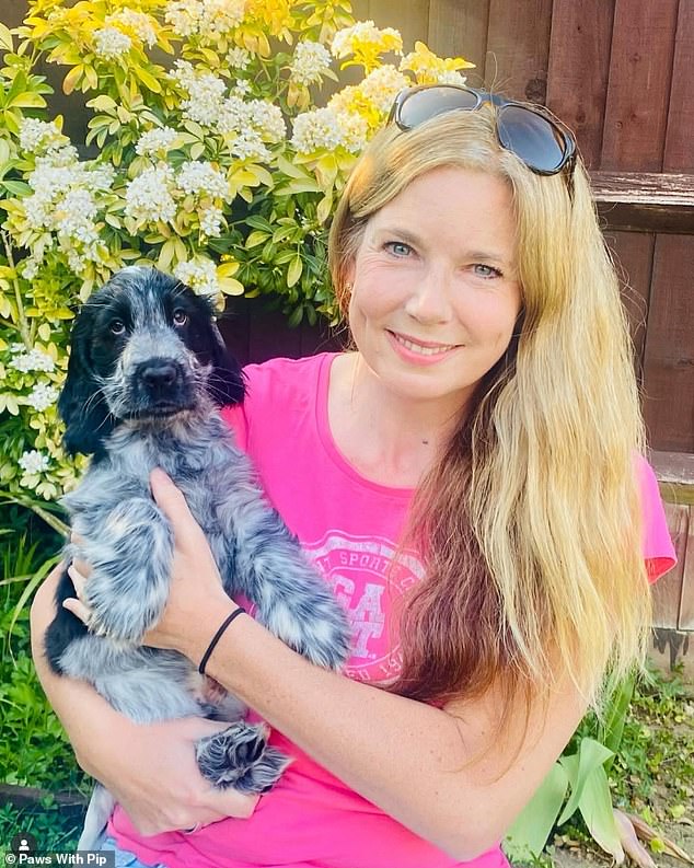 Pip says most dogs work really well with food as a motivator - and it can be balanced out with reducing their kibble at dinner time