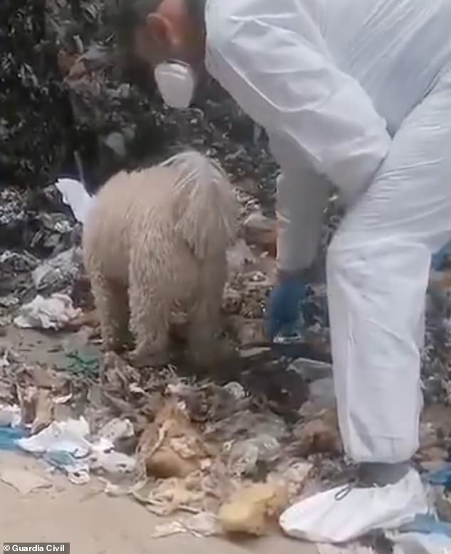 The little girl, according to the investigations, would have been decapitated and her remains then put in garbage bags