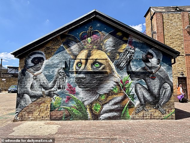 Nothing shows the divide between long-term Penge residents, their reaction to the street art (pictured) and what they think of what is happening to the area in general
