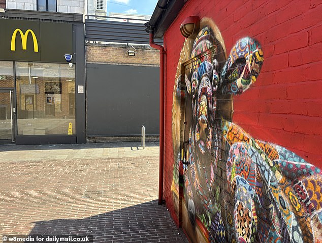 Nothing screams the new Penge more than a series of street artwork next to a McDonald's in the town centre (pictured)